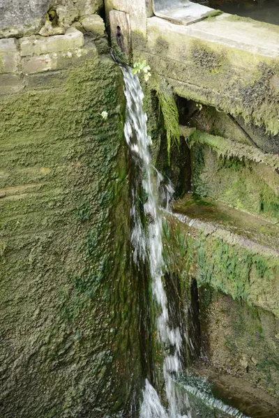 DSC_2708 (Large).JPG